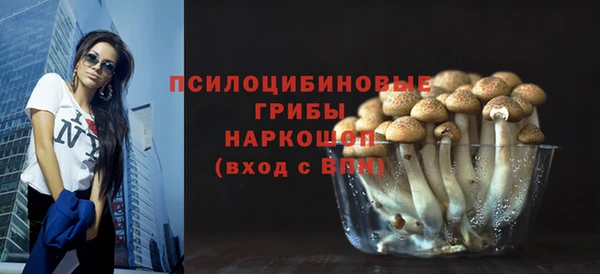 спиды Богородск