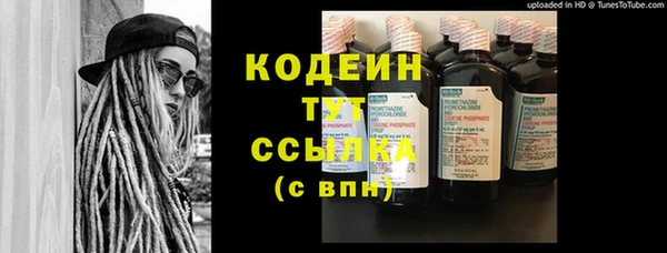 спиды Богородск