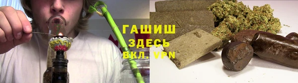 PSILOCYBIN Богородицк