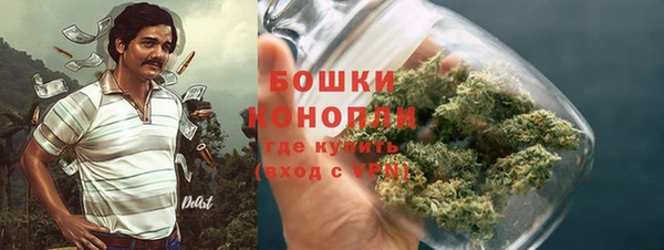 PSILOCYBIN Богородицк