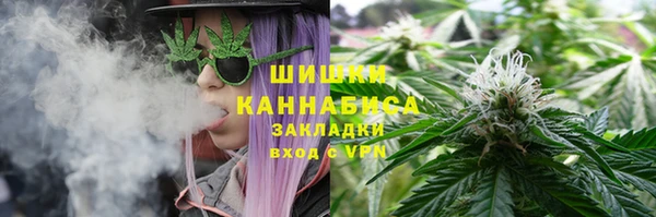 дмт Белокуриха