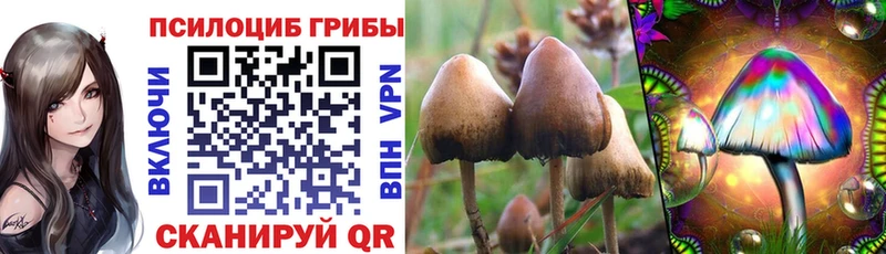 Галлюциногенные грибы MAGIC MUSHROOMS  Колпашево 